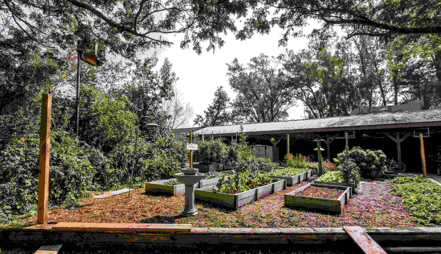 Gibraltar Point Centre for the Arts, a creative retreat featured in Doors Open Toronto 2025