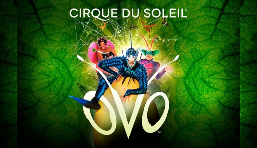 Promotional poster for Cirque du Soleil’s OVO featuring colorful insect-themed performers set against a vibrant green background.