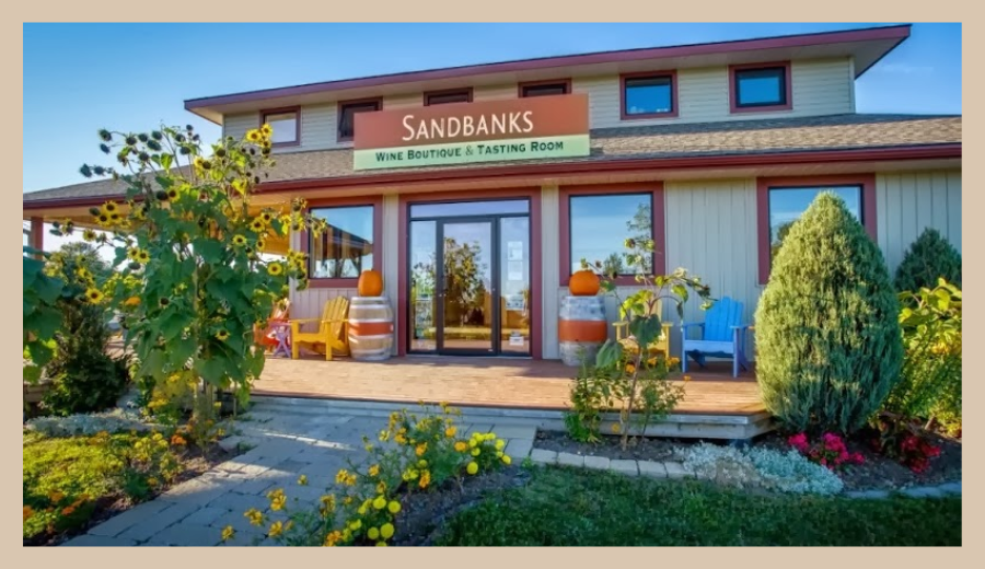 Front view of Sandbanks Estate Winery wine boutique and tasting room, surrounded by sunflowers and vibrant greenery in Prince Edward County — a must-visit near this nautical hideaway near Toronto.