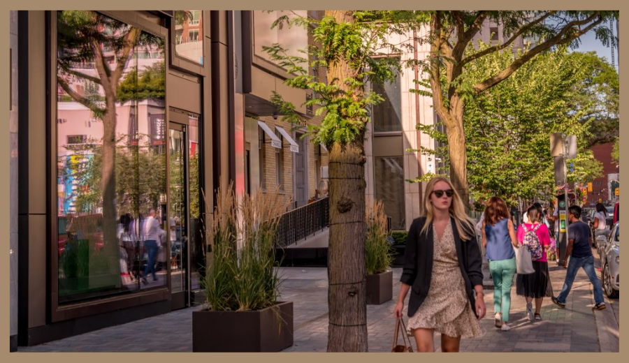  A sunny afternoon stroll through one of Toronto’s vibrant shopping districts, where boutique storefronts and leafy streets set the scene for local exploration.