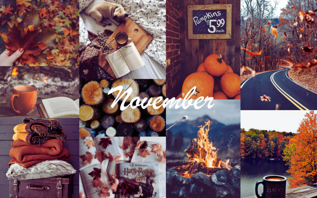 "November cozy autumn collage with fall leaves, pumpkins, hot drinks, books, blankets, campfire, and scenic fall landscapes, perfect for Thanksgiving.