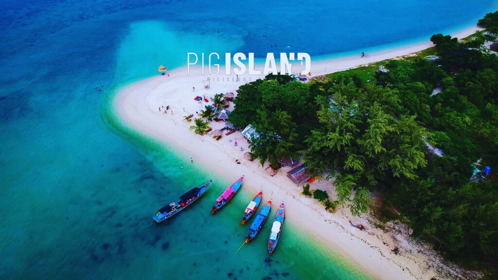 “Calling All Foodies: Pig Island New York 2025 Serves Up a Pork Lover’s Paradise”