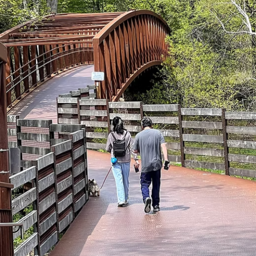 Discover Toronto’s Don Valley Trail
