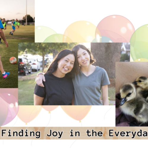 A Week of Heartwarming Stories: Organ Donation, Wildlife Rescue, and Finding Joy in the Everyday