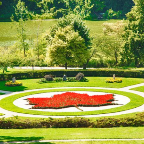 7 Local Destinations and Events to Support in Toronto 
