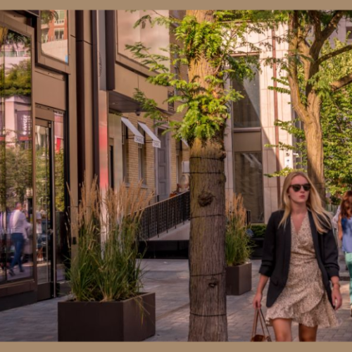  A sunny afternoon stroll through one of Toronto’s vibrant shopping districts, where boutique storefronts and leafy streets set the scene for local exploration.