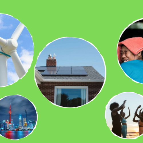 What Went Right This Week: Global Flourishing, Green Energy, and a Bird’s Return